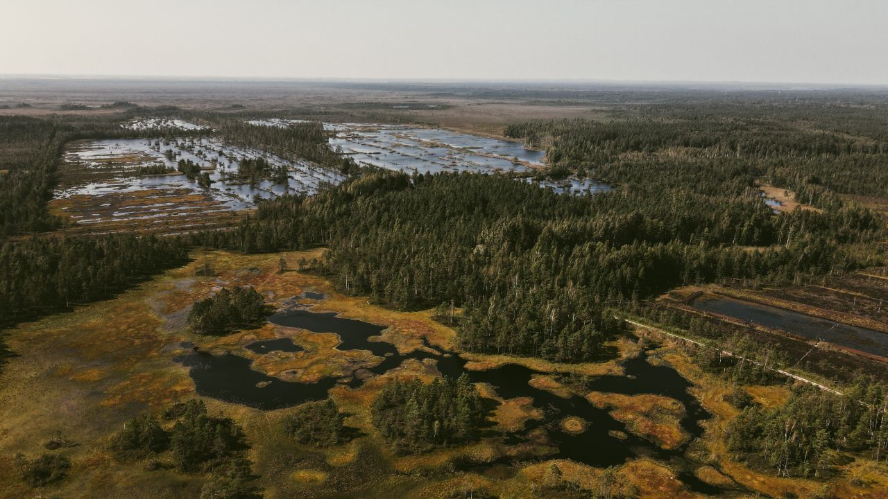 Болото с озёрами, вид сверху
