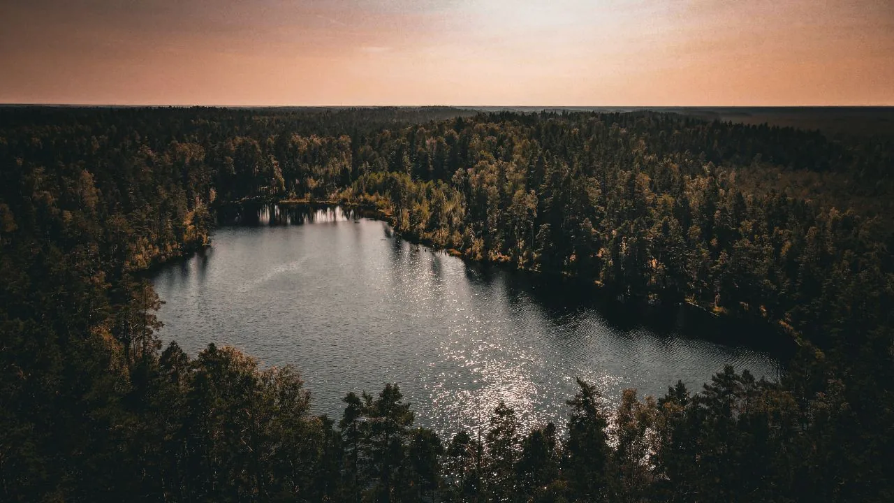 Waldsee im Licht des Sonnenuntergangs